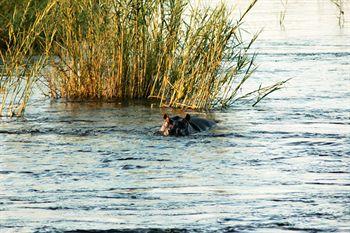 Bagani Divava Okavango Resort And Spa מראה חיצוני תמונה